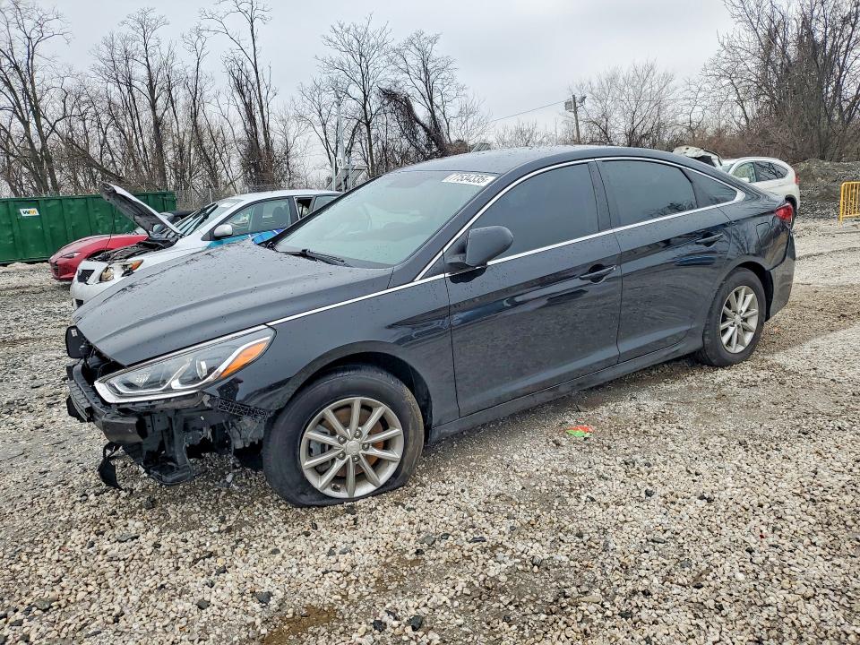 2019 HYUNDAI SONATA — VIN 5NPE24AF2KH817762