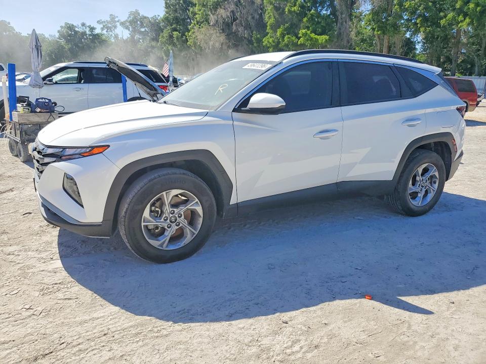 2024 HYUNDAI TUCSON — VIN 5NMJBCDE1RH337456