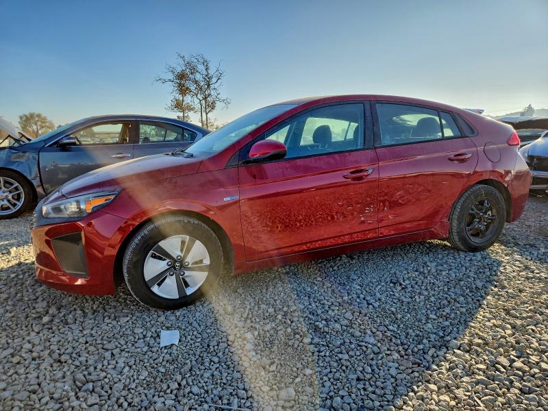 2019 HYUNDAI IONIQ BLUE — VIN KMHC65LC9KU176194