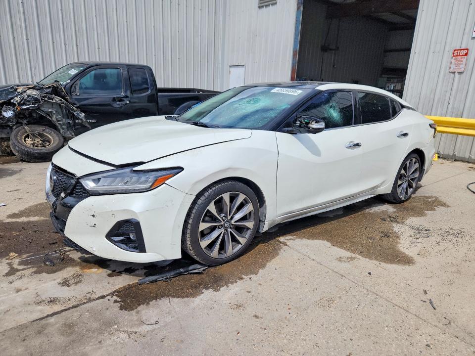 2019 NISSAN MAXIMA — VIN 1N4AA6AV2KC372638