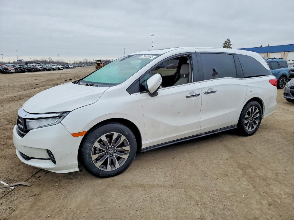 2024 HONDA ODYSSEY — VIN 5FNRL6H64RB073199