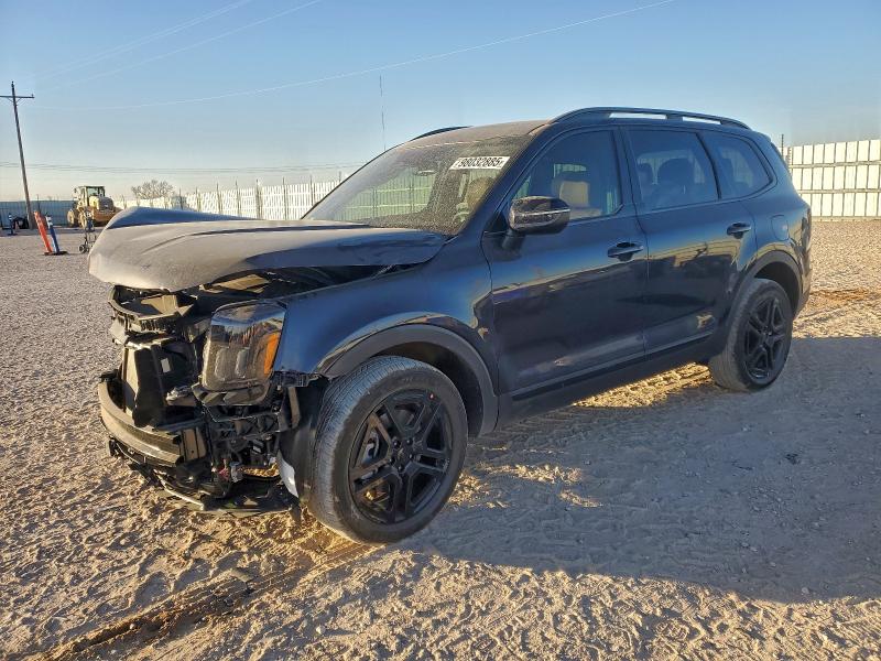 2025 KIA TELLURIDE — VIN 5XYP3DGCXSG720710