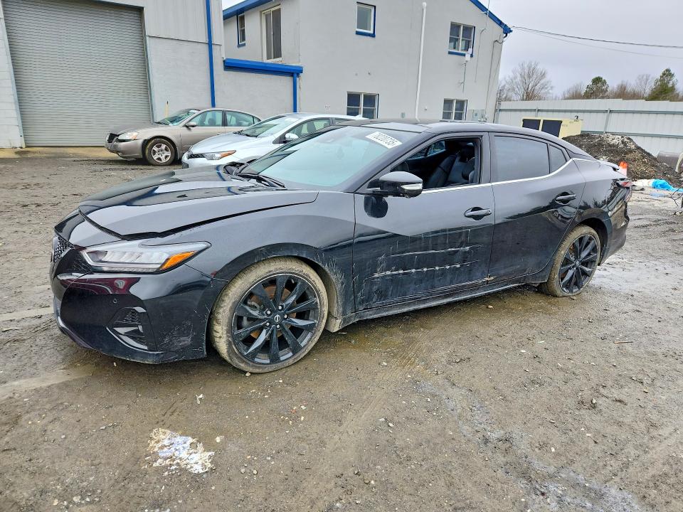 2023 NISSAN MAXIMA — VIN 1N4AA6EV6PC507203
