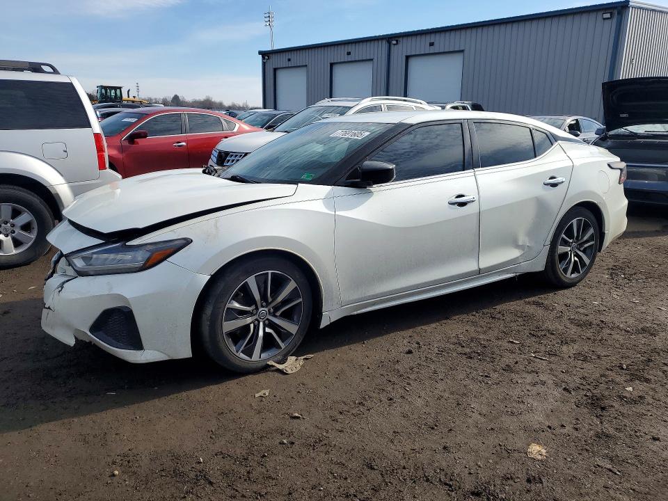 2019 NISSAN MAXIMA — VIN 1N4AA6AV1KC384392