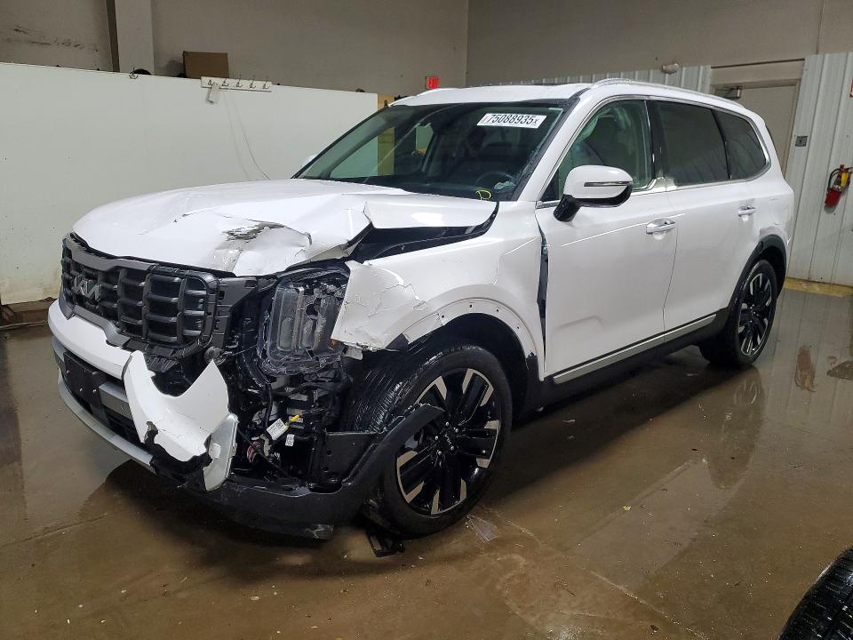 2024 KIA TELLURIDE — VIN 5XYP5DGC9RG455671