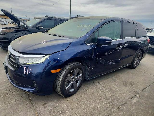 2021 HONDA ODYSSEY — VIN 5FNRL6H59MB041610