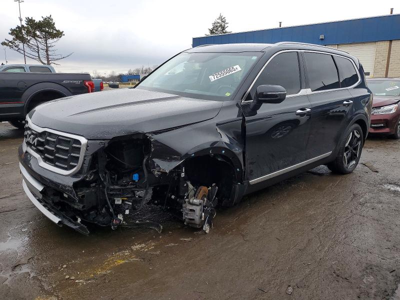 2024 KIA TELLURIDE — VIN 5XYP6DGC3RG513755