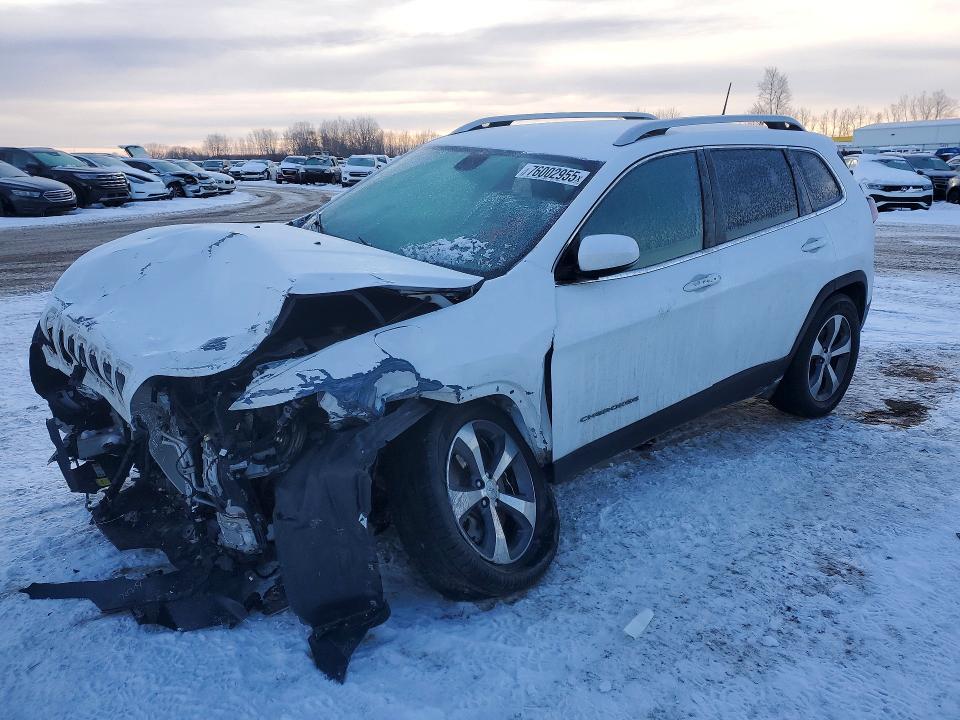 2019 JEEP CHEROKEE — VIN 1C4PJMDX0KD445134