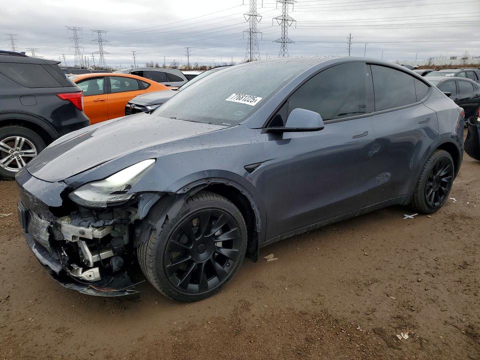 2020 TESLA MODEL Y — VIN 5YJYGDEE2LF034795