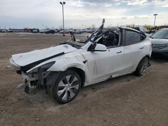 2023 TESLA MODEL Y — VIN 7SAYGDEEXPF786513