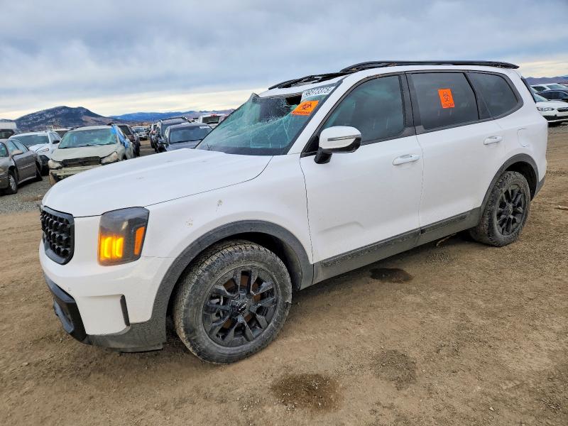 2024 KIA TELLURIDE — VIN 5XYP5DGC6RG502915
