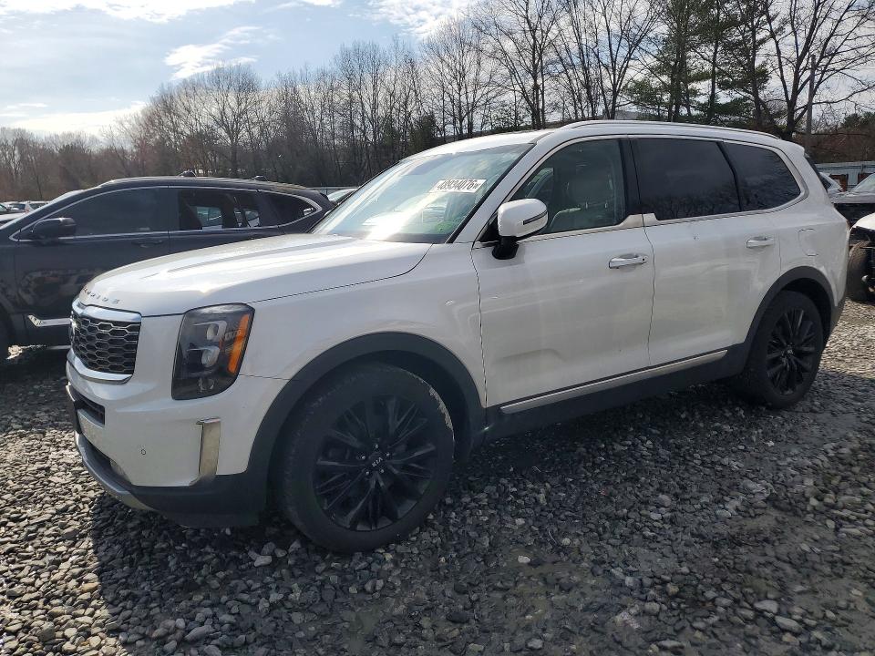 2020 KIA TELLURIDE — VIN 5XYP5DHC9LG075199