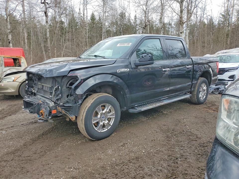 2017 FORD F150 — VIN 1FTEW1EG7HFB56139