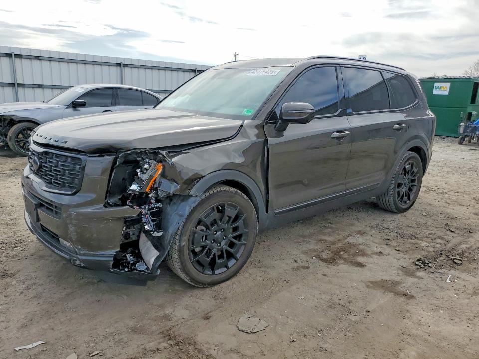 2021 KIA TELLURIDE — VIN 5XYP5DHC6MG102635
