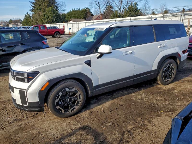 2024 HYUNDAI SANTA FE S — VIN 5NMP1DGL5RH043488