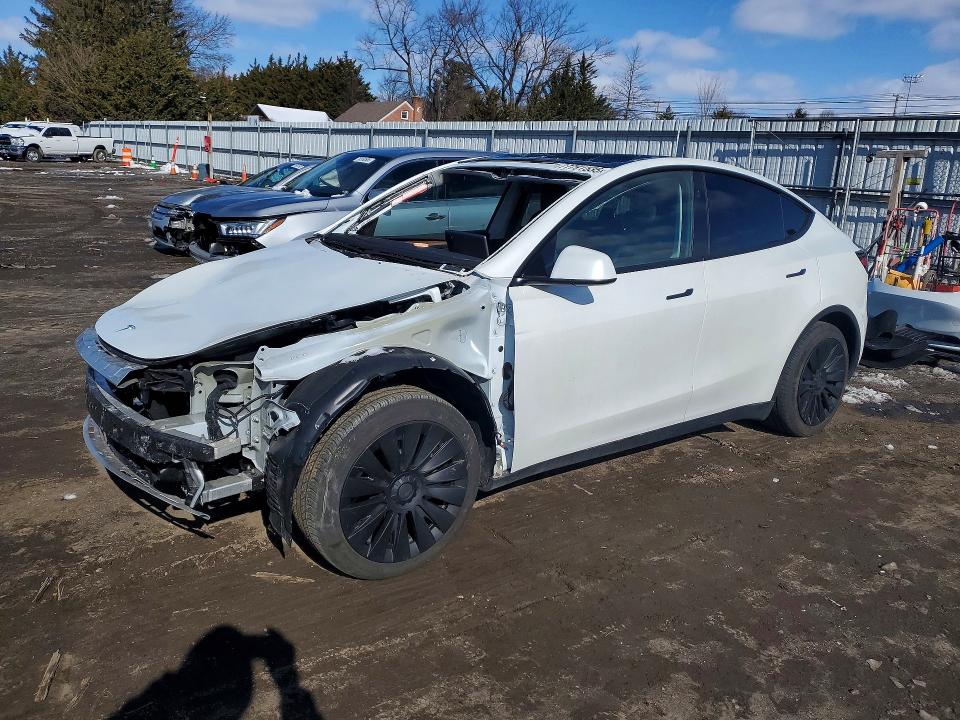 2025 TESLA MODEL Y — VIN 7SAYGDED7SF260310