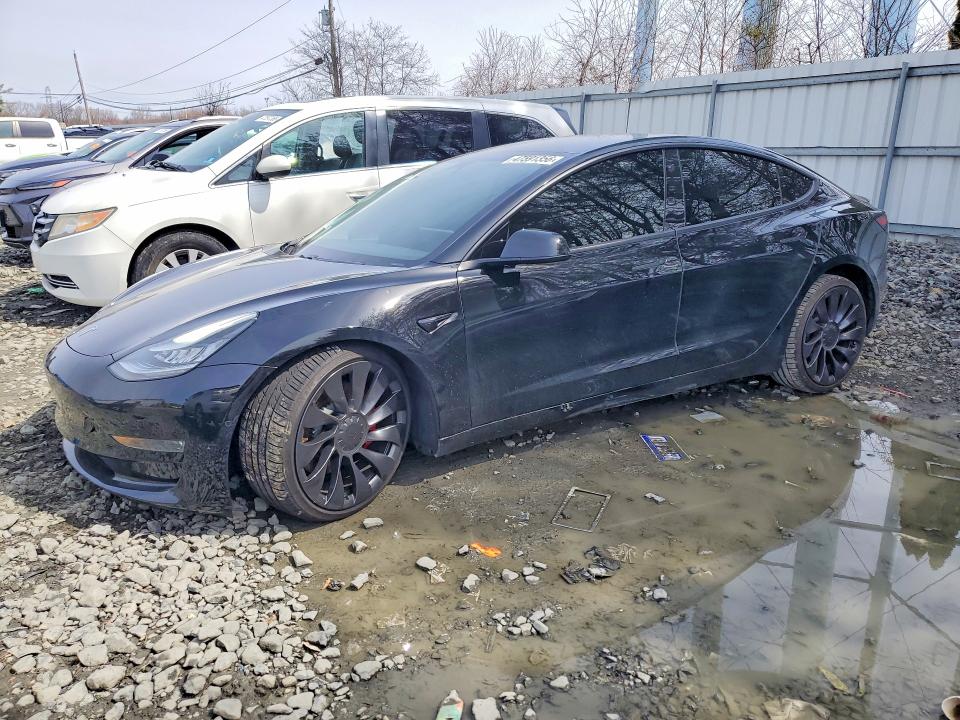 2019 TESLA MODEL 3 — VIN 5YJ3E1EB5KF231463
