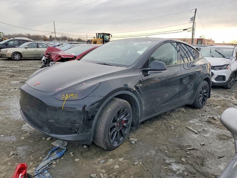 2023 TESLA MODEL Y — VIN 7SAYGDEE9PA186143