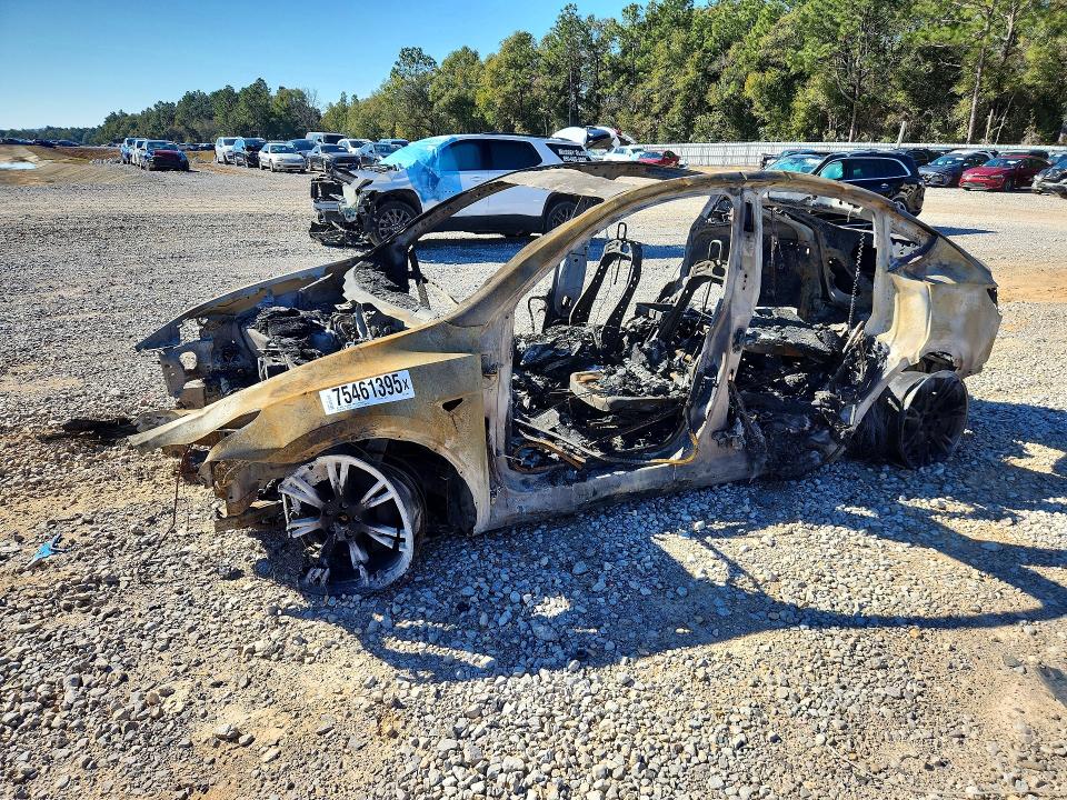 2024 TESLA MODEL Y — VIN 7SAYGDEE3RA254455