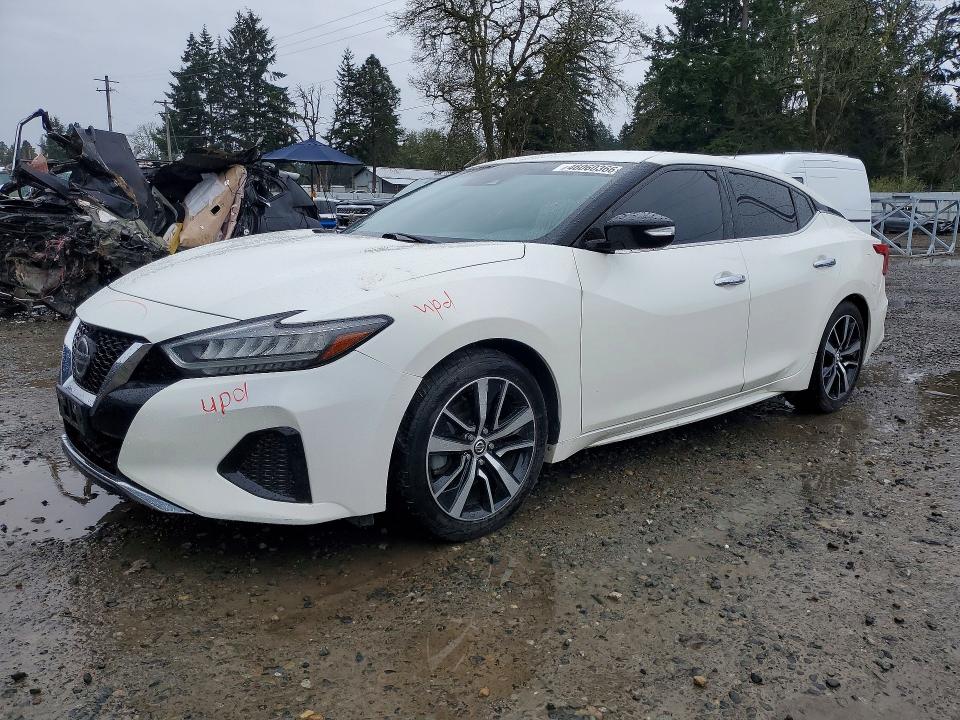 2022 NISSAN MAXIMA — VIN 1N4AA6CV0NC504149