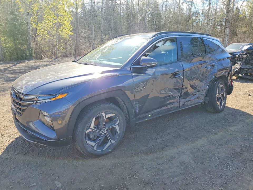 2024 HYUNDAI TUCSON — VIN KM8JCCD13RU209525