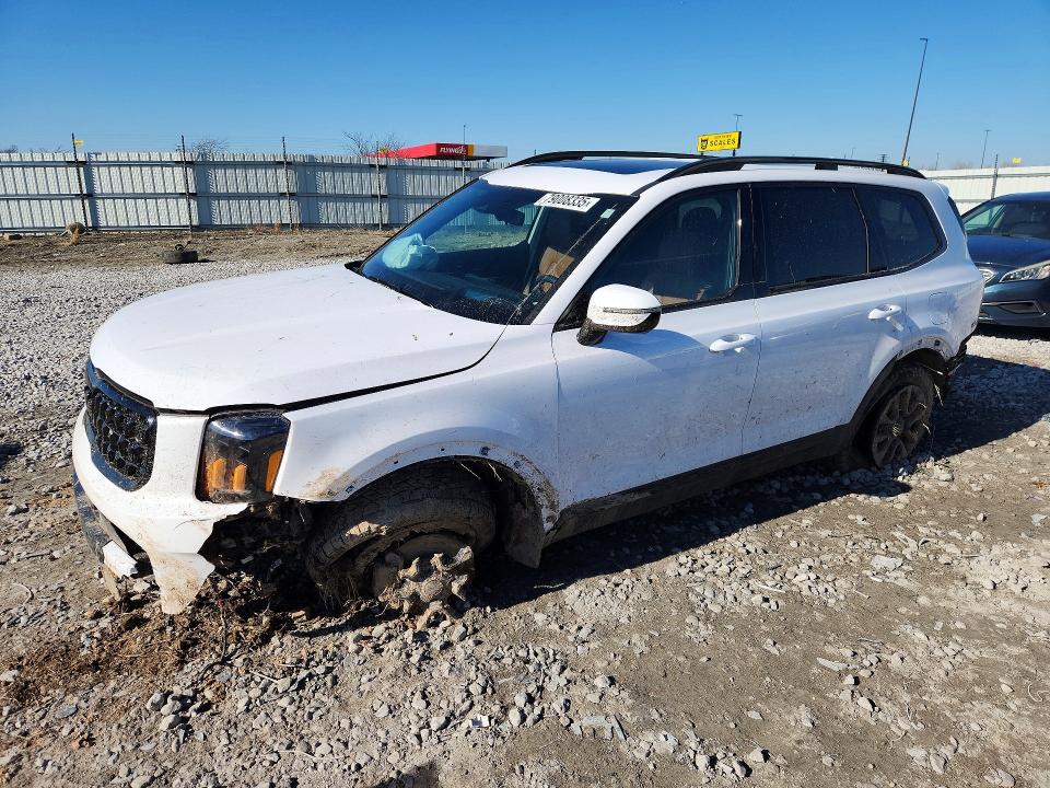 2025 KIA TELLURIDE — VIN 5XYP5DGC9SG687063
