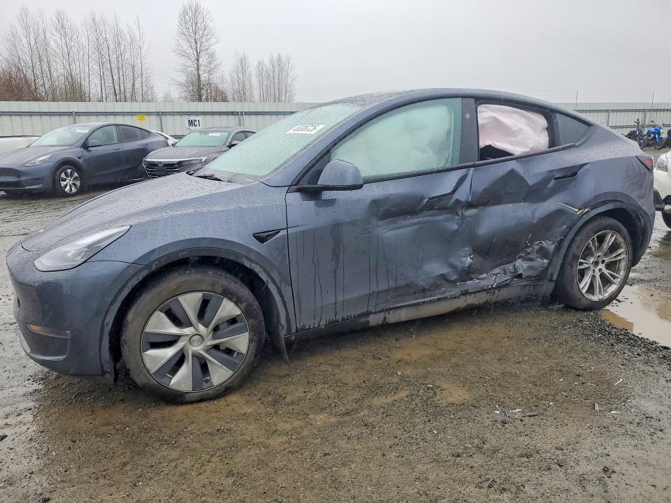 2023 TESLA MODEL Y — VIN 7SAYGDEE8PF880762