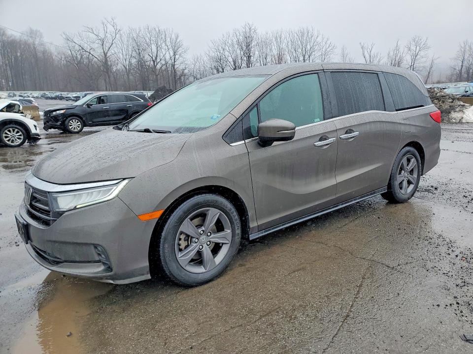 2021 HONDA ODYSSEY — VIN 5FNRL6H55MB021743