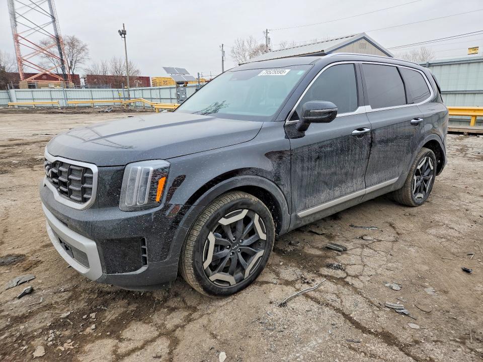 2024 KIA TELLURIDE — VIN 5XYP6DGC8RG445162