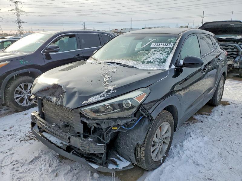 2017 HYUNDAI TUCSON — VIN KM8J23A43HU555719