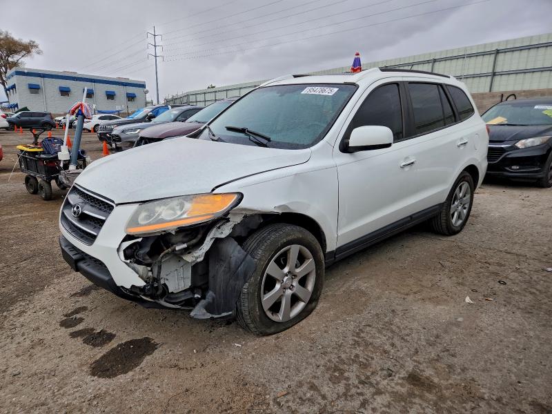 2008 HYUNDAI SANTA FE S — VIN 5NMSH13E58H198763