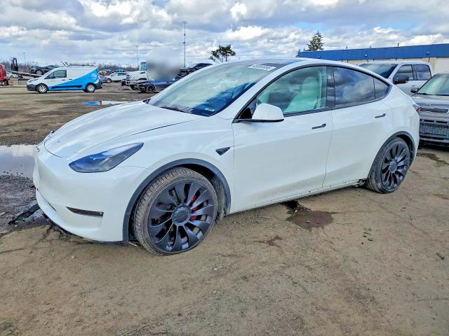 2023 TESLA MODEL Y — VIN 7SAYGDEF4PF830224