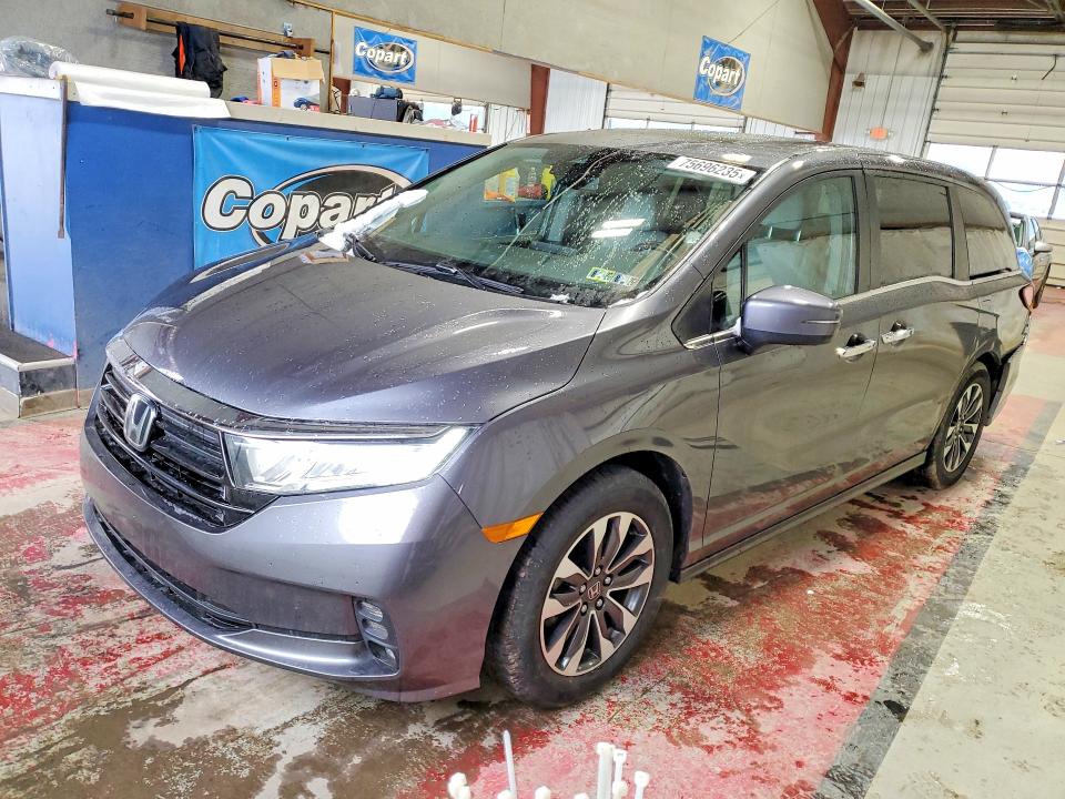 2024 HONDA ODYSSEY — VIN 5FNRL6H60RB071434