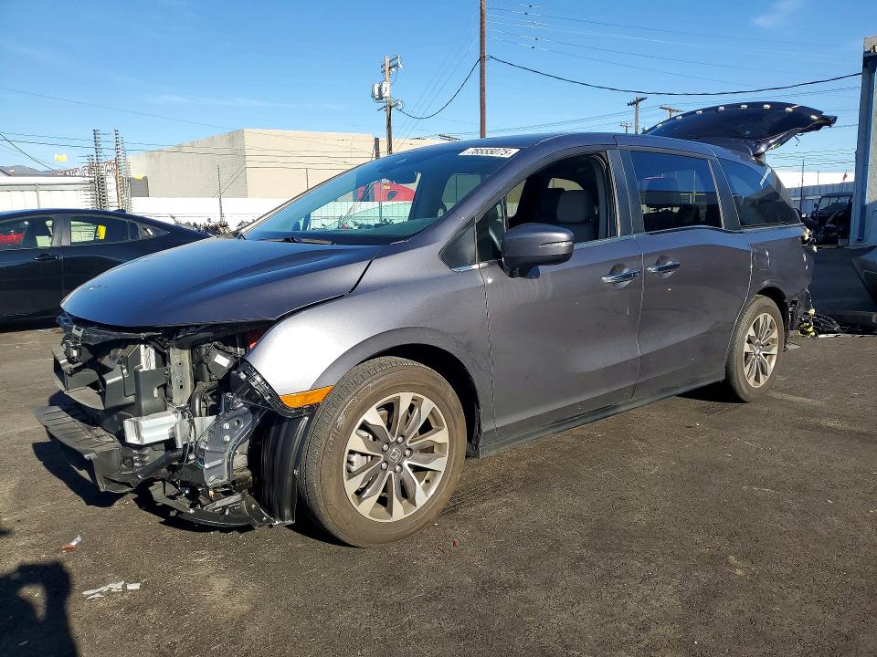 2024 HONDA ODYSSEY — VIN 5FNRL6H64RB070495