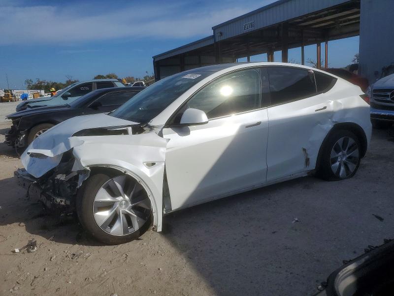 2023 TESLA MODEL Y — VIN 7SAYGDEE0PA162698