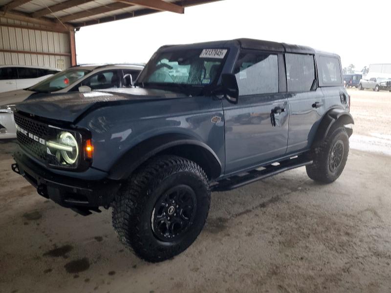 2024 FORD BRONCO WIL — VIN 1FMEE2BP3RLA81581