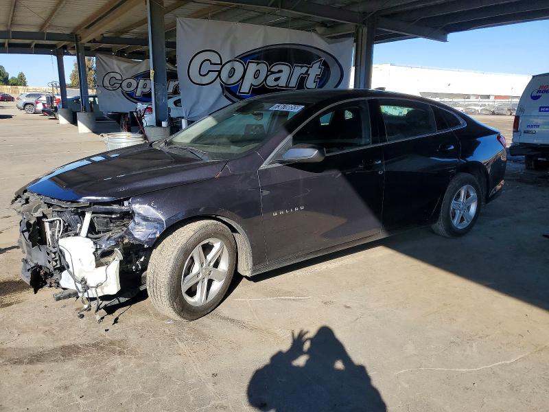 2023 CHEVROLET MALIBU LT — VIN 1G1ZD5ST2PF243695