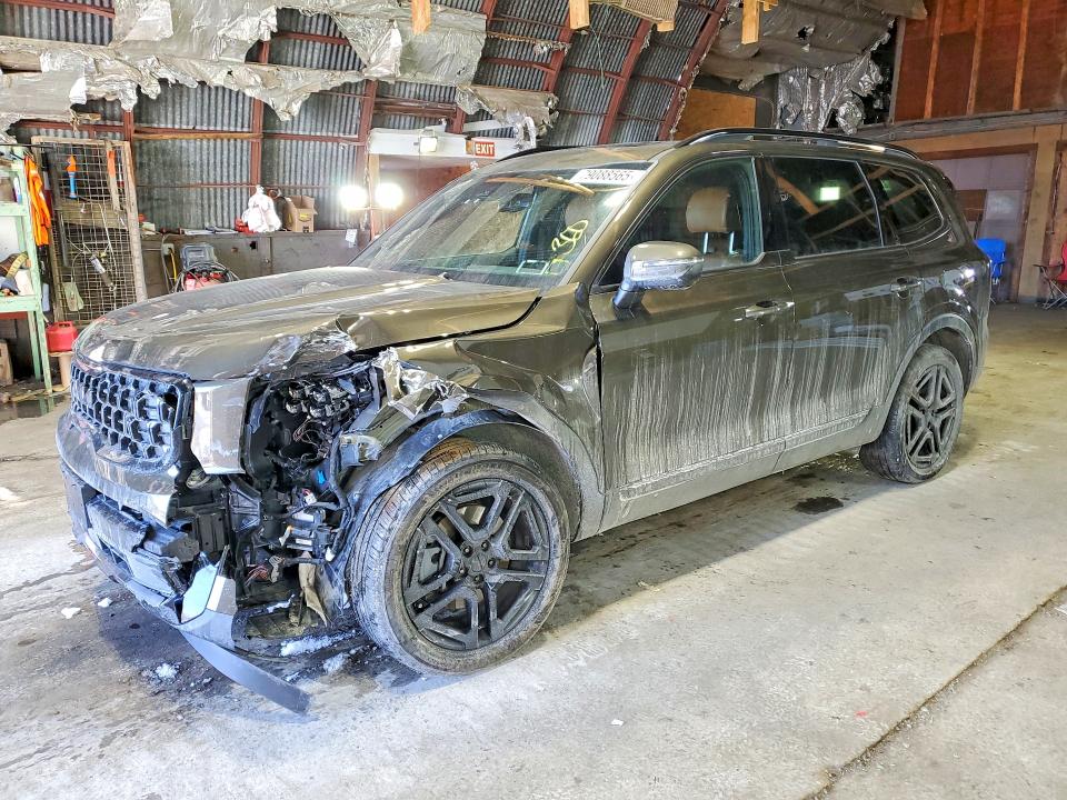 2025 KIA TELLURIDE — VIN 5XYP3DGC4SG567385