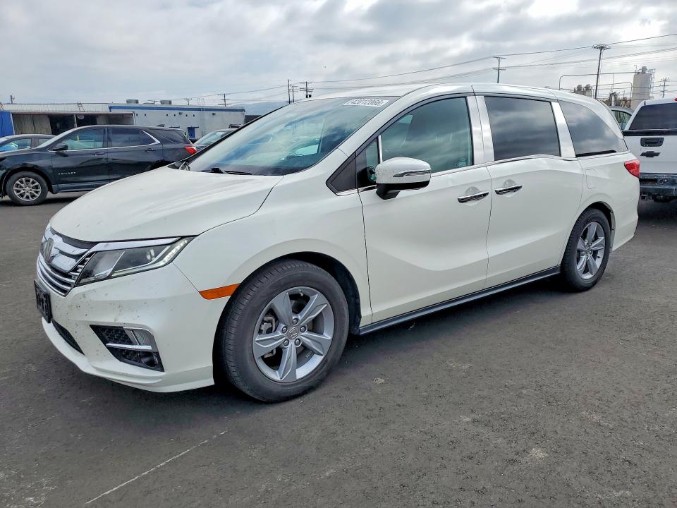 2019 HONDA ODYSSEY — VIN 5FNRL6H52KB016125