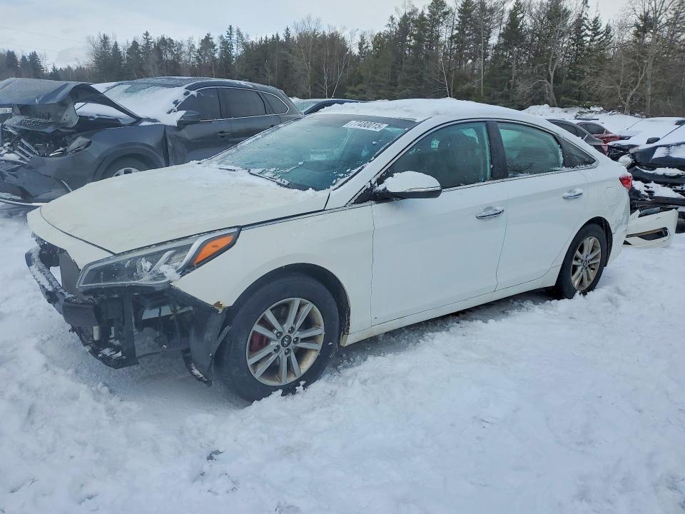 2016 HYUNDAI SONATA — VIN 5NPE24AF2GH293729