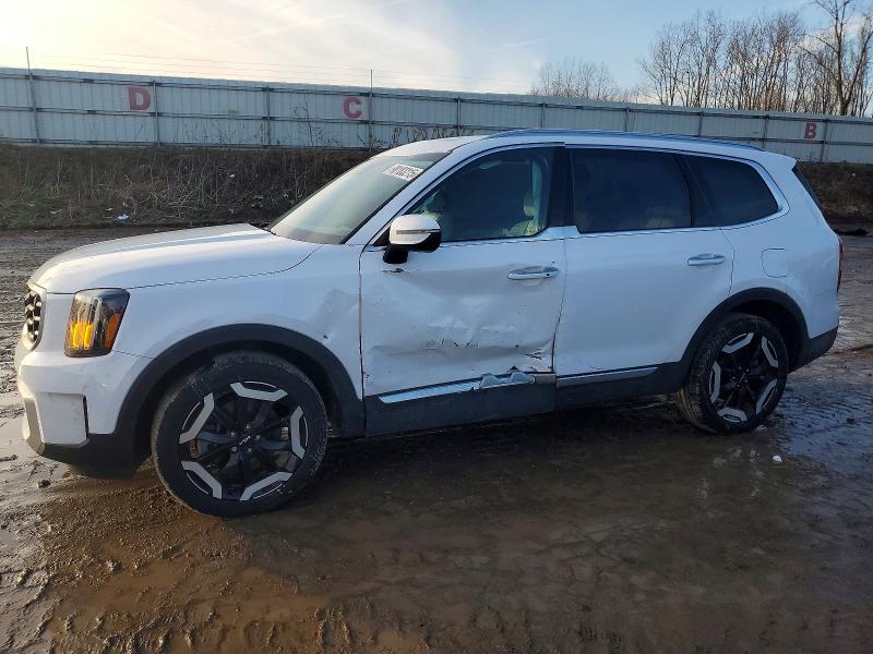 2024 KIA TELLURIDE — VIN 5XYP6DGC6RG461327