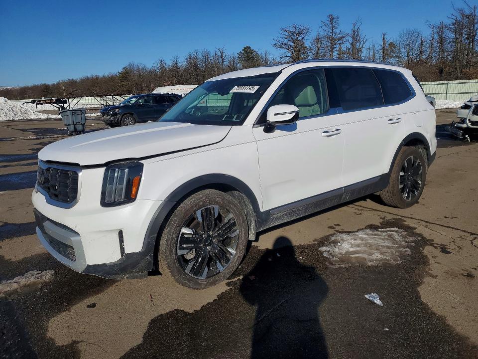2024 KIA TELLURIDE — VIN 5XYP5DGC5RG521908