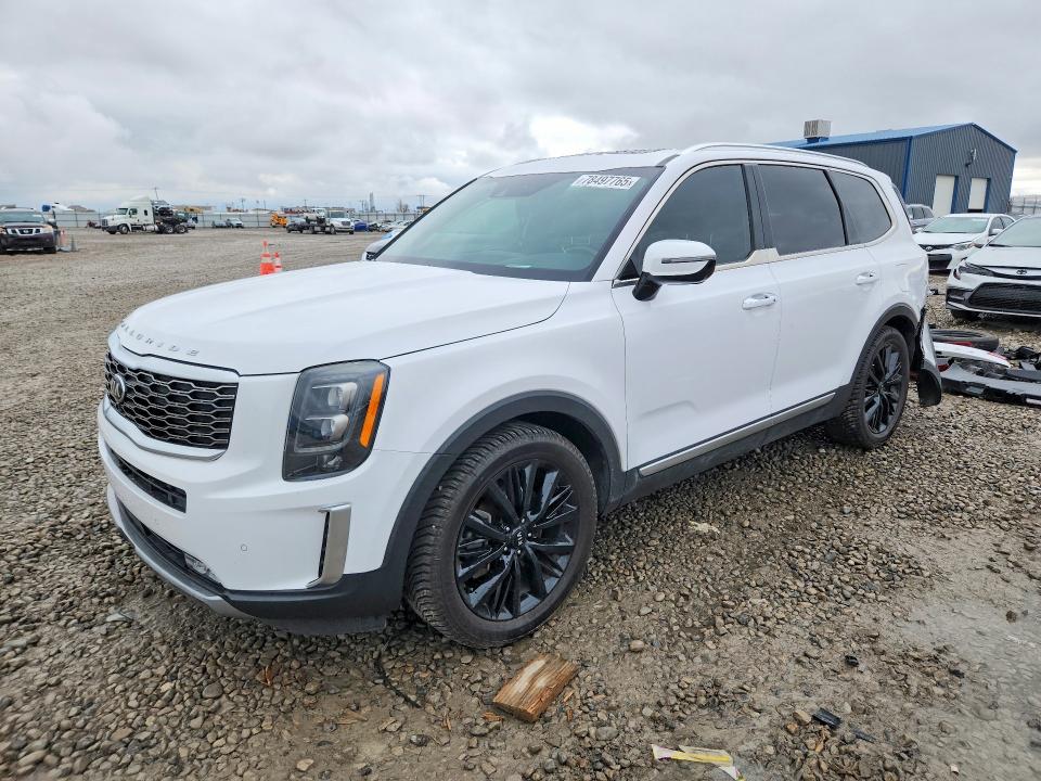 2021 KIA TELLURIDE — VIN 5XYP5DHC8MG176106