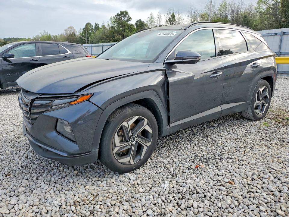 2024 HYUNDAI TUCSON — VIN 5NMJE3DE0RH300647