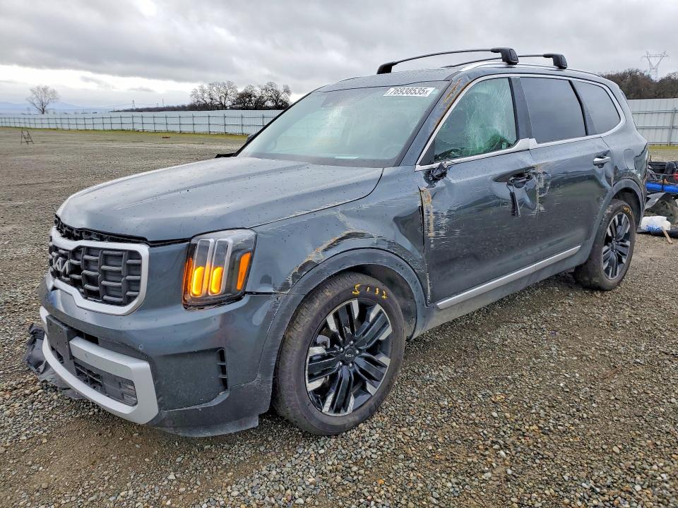 2024 KIA TELLURIDE — VIN 5XYP5DGC0RG554718