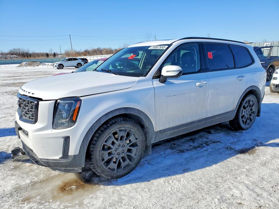 2021 KIA TELLURIDE — VIN 5XYP5DHC7MG169759