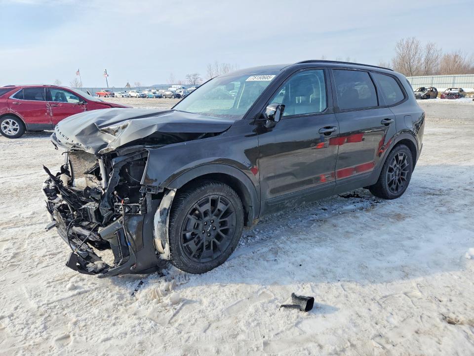 2022 KIA TELLURIDE — VIN 5XYP5DHC8NG262646