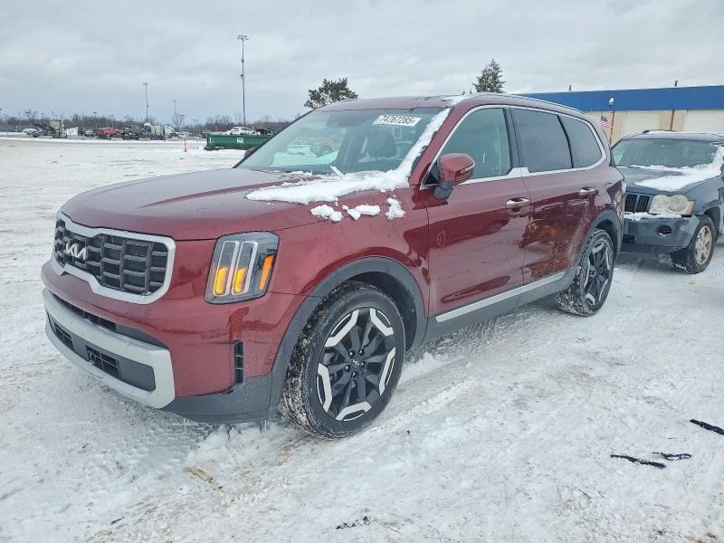 2024 KIA TELLURIDE — VIN 5XYP6DGC6RG413004