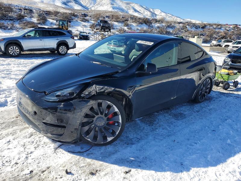 2024 TESLA MODEL Y — VIN 7SAYGDEF4RF161293