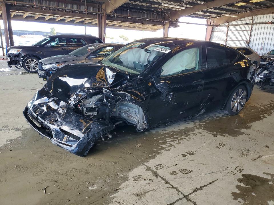 2023 TESLA MODEL Y — VIN 7SAYGDEE5PF694449